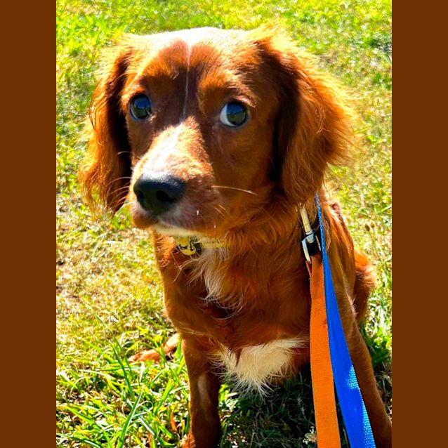 Photo of Reggie