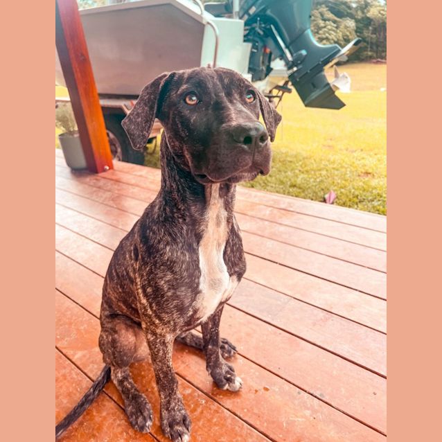 Photo of Mia