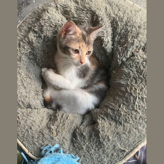 Photo of Molly ❤️❤️❤️