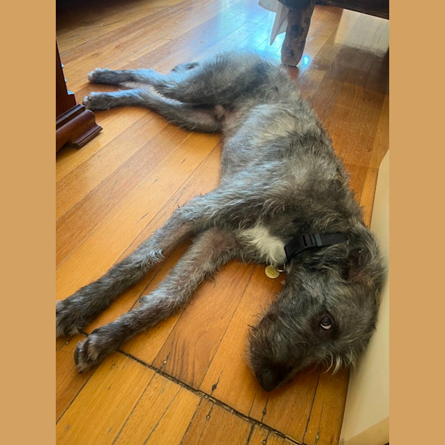 Photo of Baden