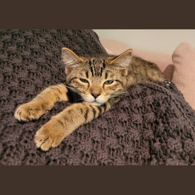 Photo of Leah