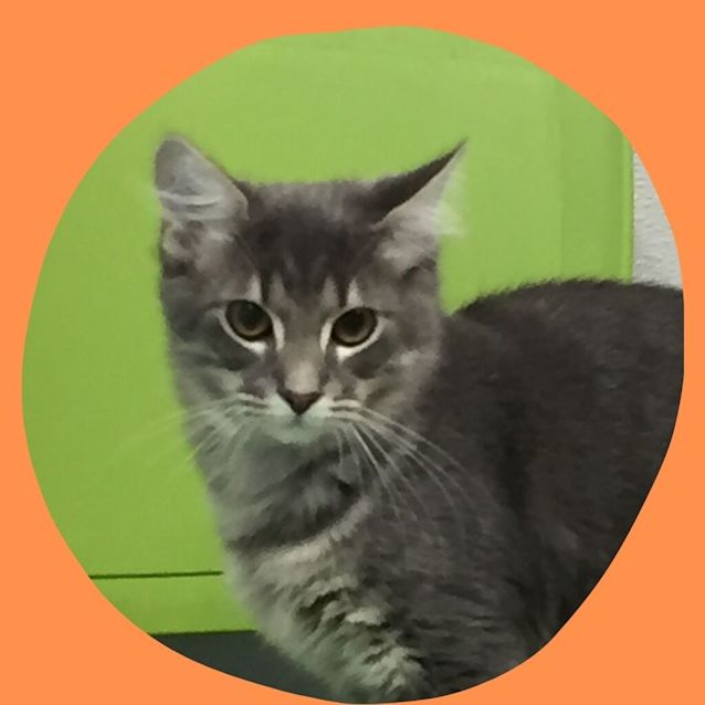 Photo of Charles