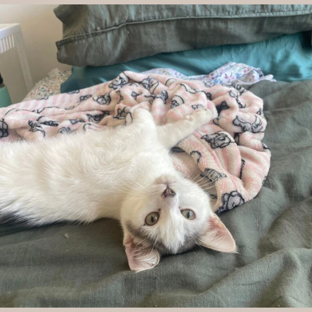 Photo of Momo 