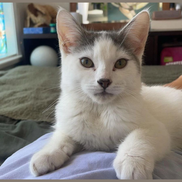 Photo of Momo 