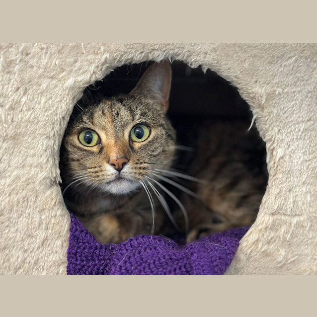 Photo of Leeloo
