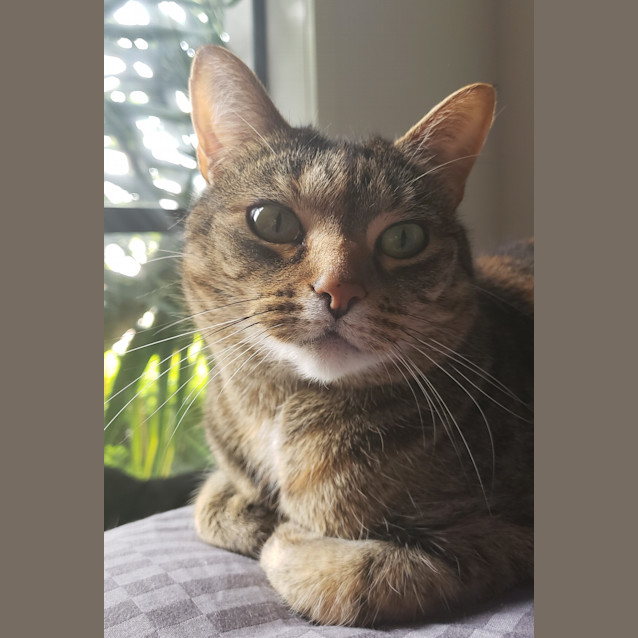 Photo of Leeloo