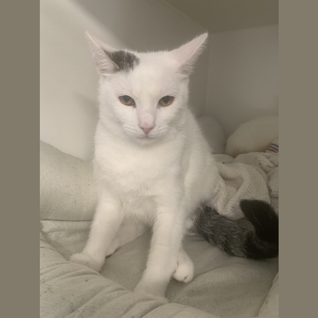 Photo of Sammy