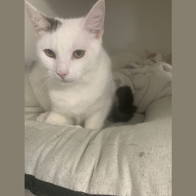Photo of Sammy