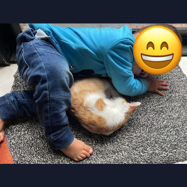 Photo of Rose   Located In Bentleigh East