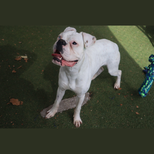 Photo of Barney