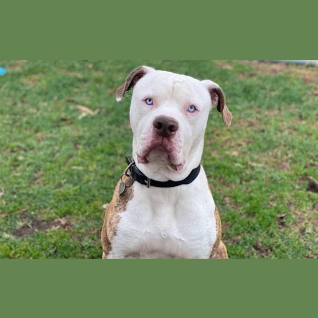 Photo of Roscoe