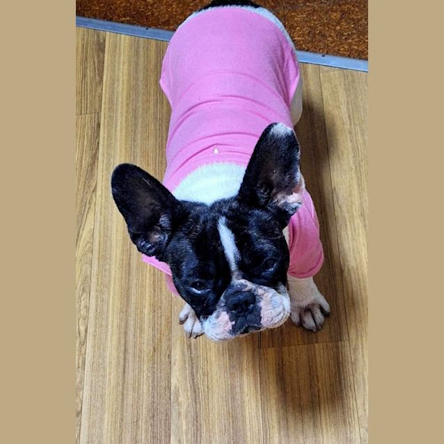 Photo of Vivienne Leigh 