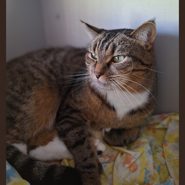 Photo of Mimi