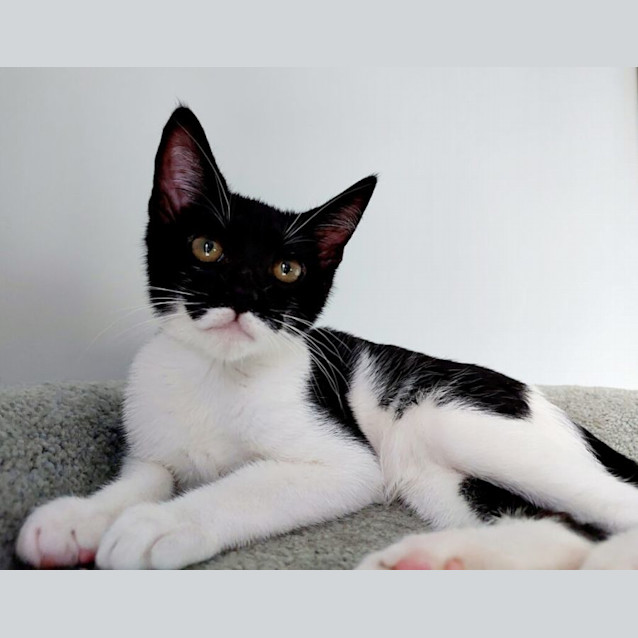 Photo of Bruce Wayne