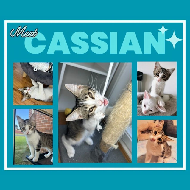 Photo of Cassian