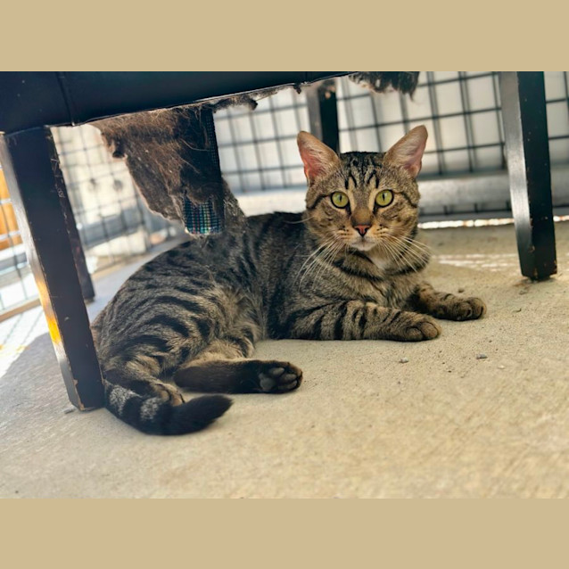 Photo of Vlad