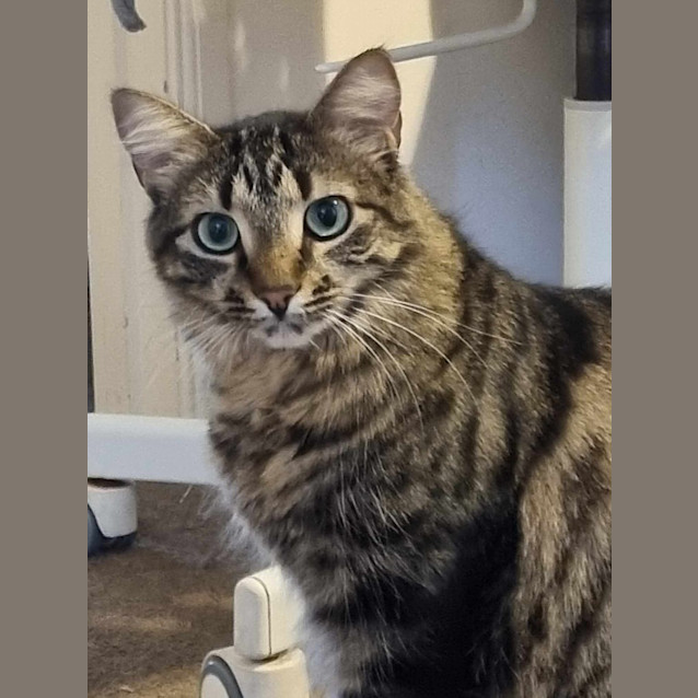 Photo of Maggie
