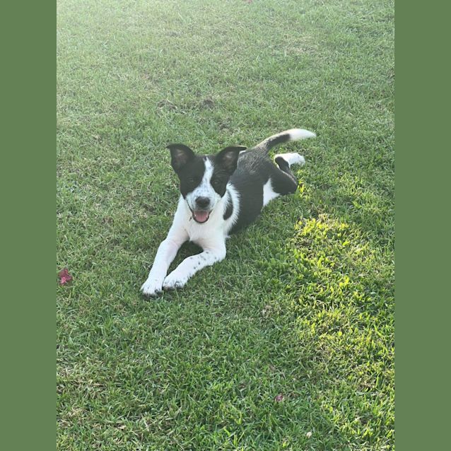 Photo of Bessie