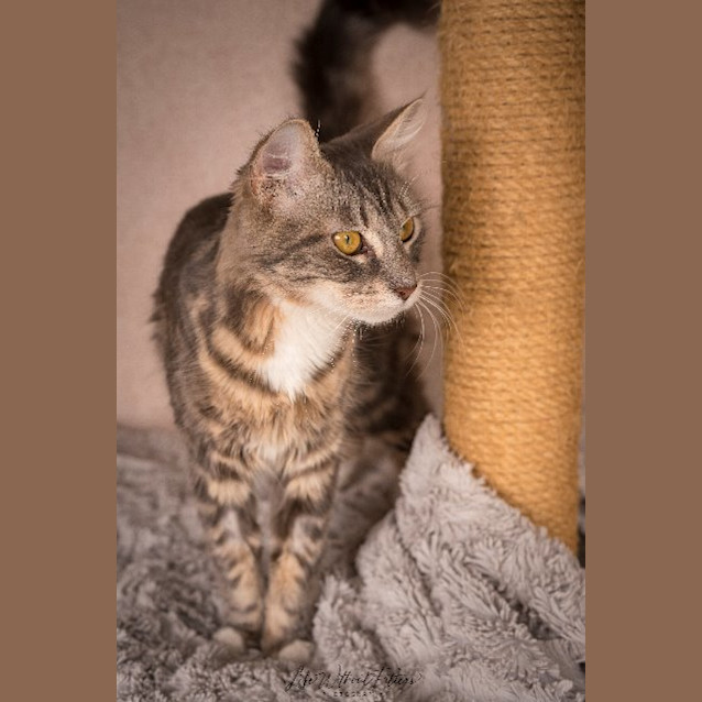 Photo of Georgiannah