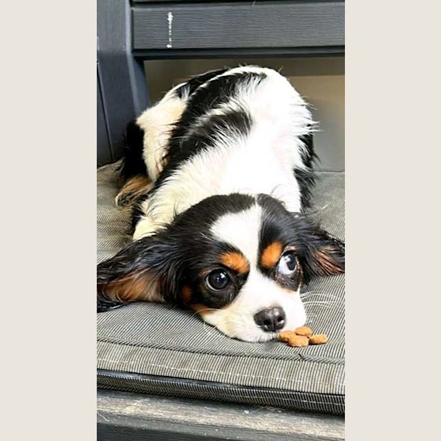 Photo of Mia