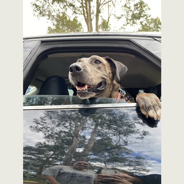 Photo of Gracie West