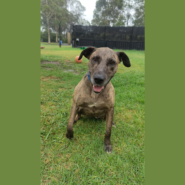 Photo of Gracie West