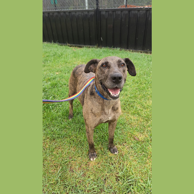 Photo of Gracie West