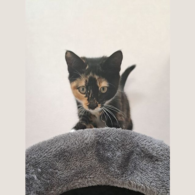 Photo of Mavis (0192)