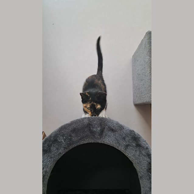 Photo of Mavis (0192)