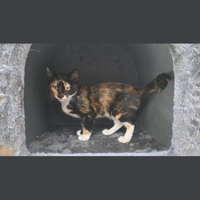 Photo of Mavis (0192)