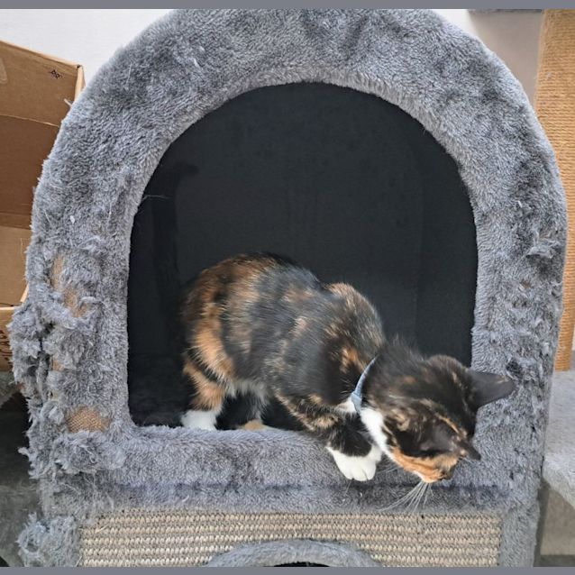 Photo of Mavis (0192)