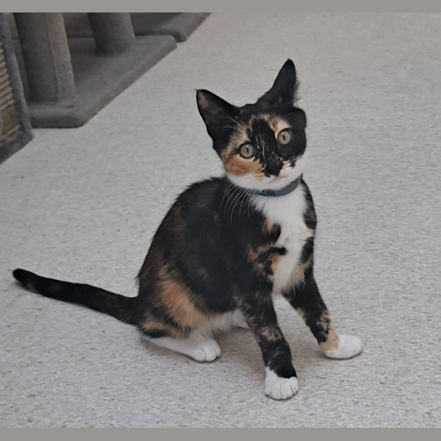 Photo of Mavis (0192)