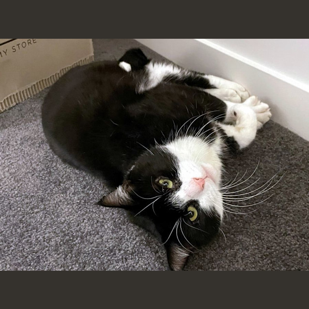 Photo of Miles Sta011606