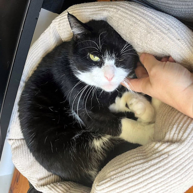 Photo of Miles Sta011606