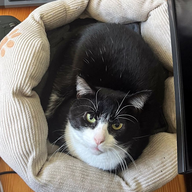 Photo of Miles Sta011606