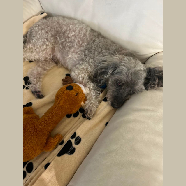 Photo of Smokey Cody 