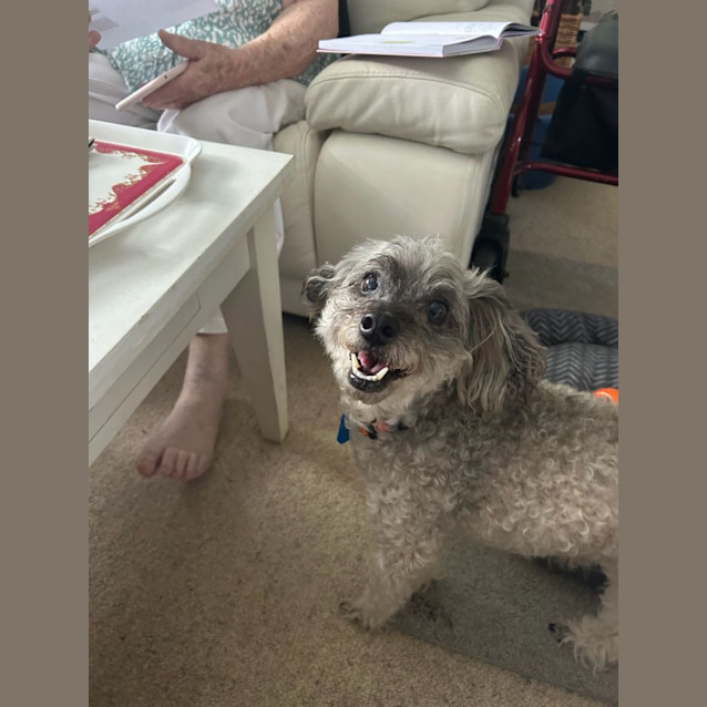 Photo of Smokey Cody 