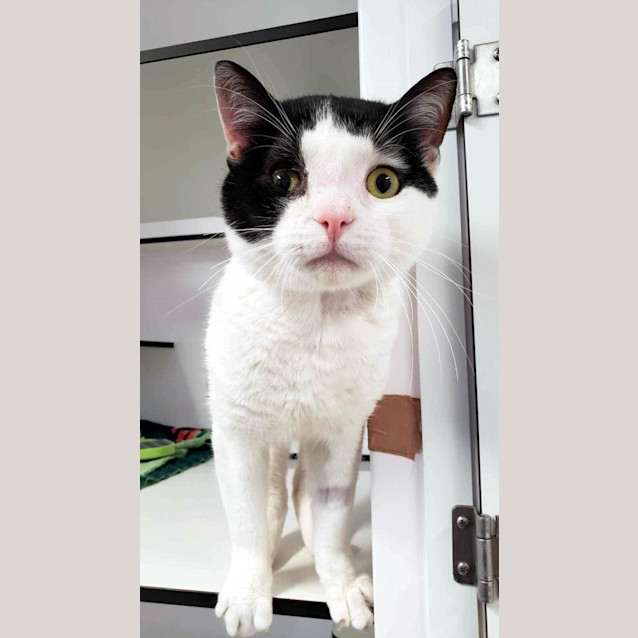 Photo of Einstein Sta012105