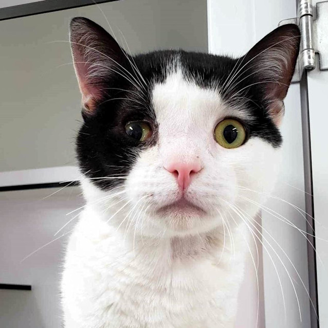 Photo of Einstein Sta012105