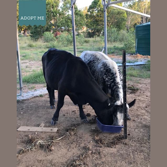 Photo of Matilda & Marble