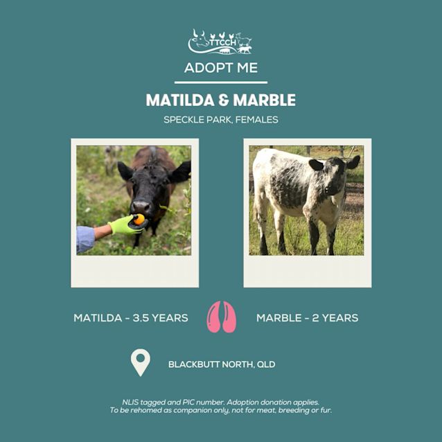 Photo of Matilda & Marble