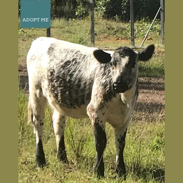 Photo of Matilda & Marble