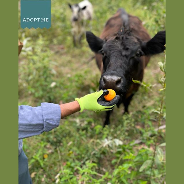 Photo of Matilda & Marble