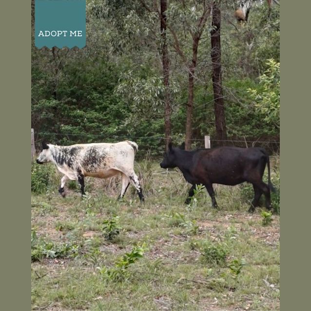 Photo of Matilda & Marble