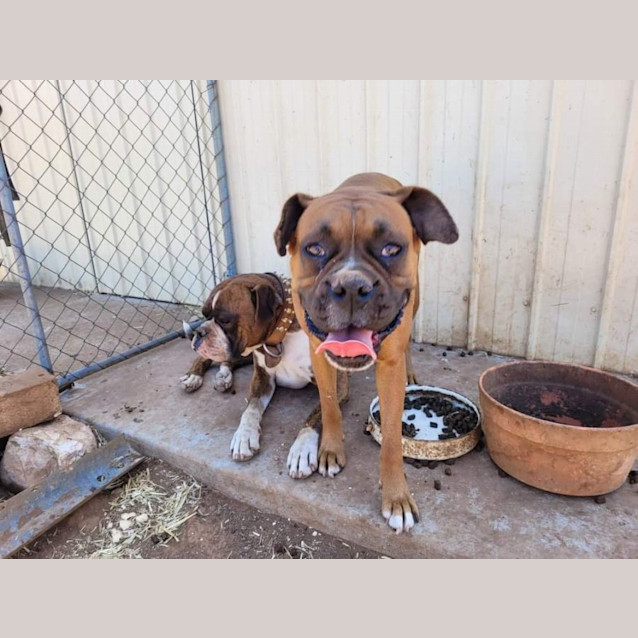 Photo of Harry And Kylie