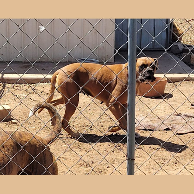 Photo of Harry And Kylie