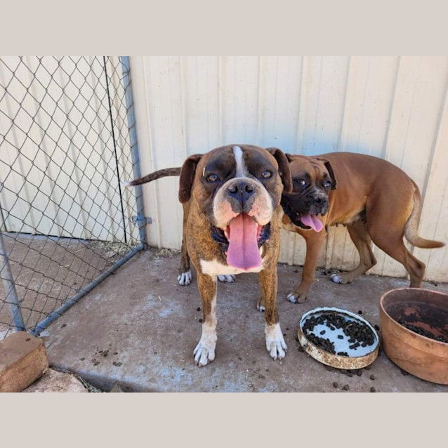 Photo of Harry And Kylie