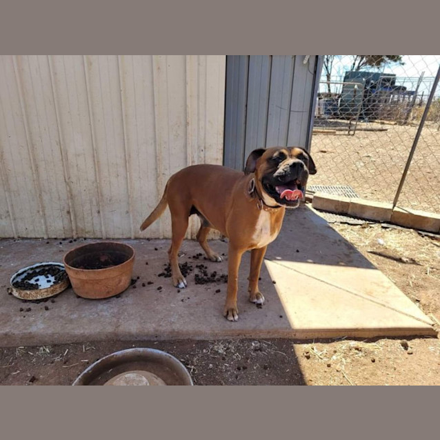 Photo of Harry And Kylie