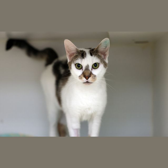 Photo of Dorothy