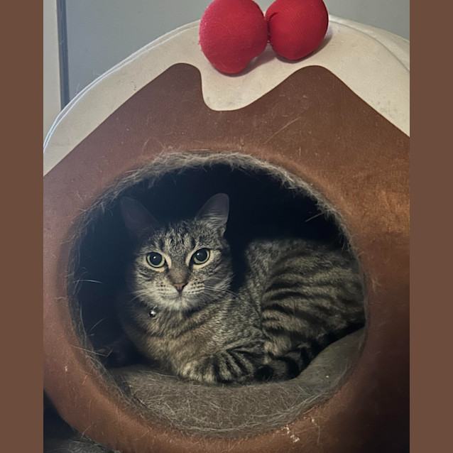 Photo of Squeak